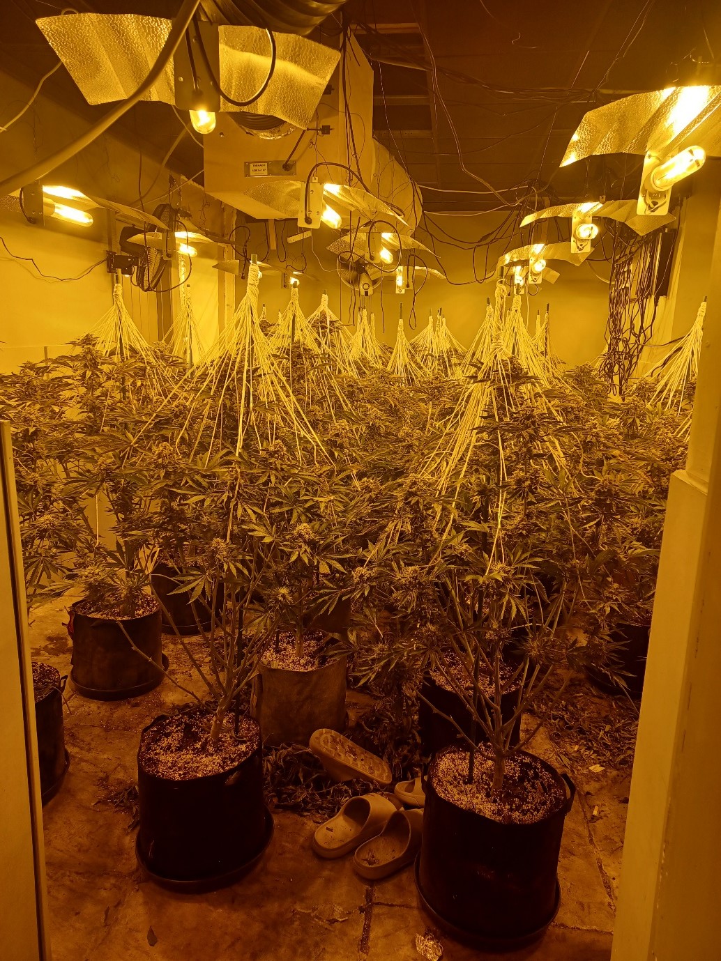 An industrial sized drugs factory found hidden in a former South ...